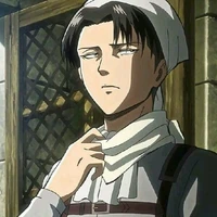 levi