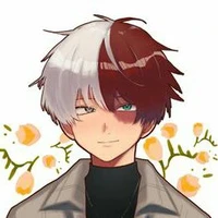 todoroki