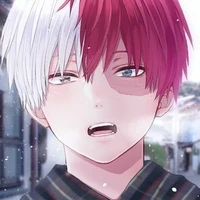 shoto todoroki