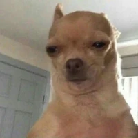 แอดค่ะ
