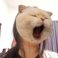 ม่อน