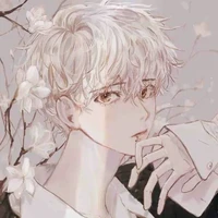 noah