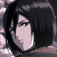 mikasa