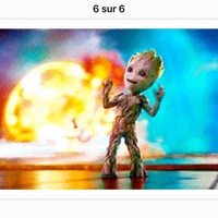Auteur 