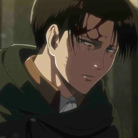 Levi