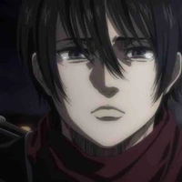 Mikasa