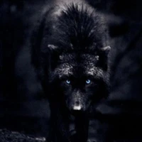 Inkarus (Wolf good )