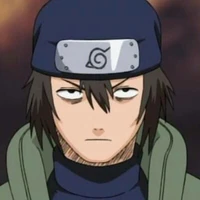 Hayate gekko