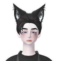 แอดเอง:<