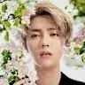 Luhan