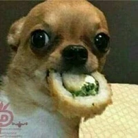 criadora roubadora de sushi mlq