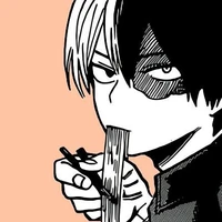 Shoto Todoroki🔥❄️