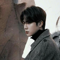 Seokjin Vrezicho