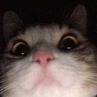 เเอด