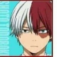 Shoto Todoroki
