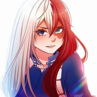 Y/n Todoroki