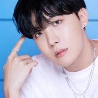 Jung Ho seok ( J-hope)