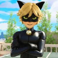Chat noir