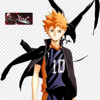 Shoyo