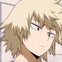 mére de bakugo