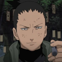 Shikamaru (alfa dominante)