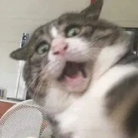 แอดเอง