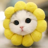 kawaii author