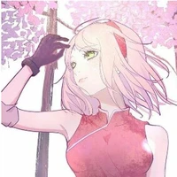 sakura