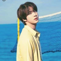 kim seokjin