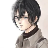 Mikasa