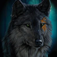 Dayn(Lobo)