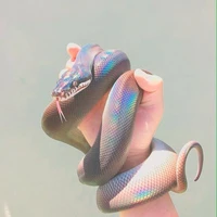 โชตะ