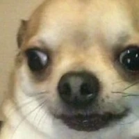ตู่