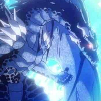 เวลโดร่า|ร่างมังกร+1ใน4ตระกูลมังกร