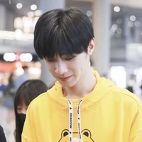 ต้นข้าว