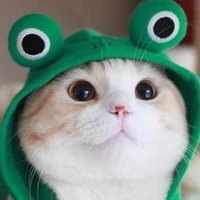 เปาเปาชอบถั่วเเดง
