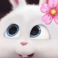 แอดเองงง