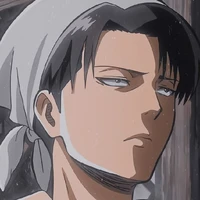 Levi