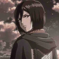 Mikasa