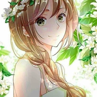 Y/n