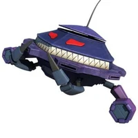 Probe