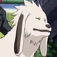 akamaru