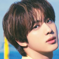 kim seokjin