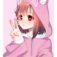 Y/N