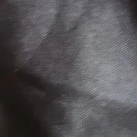 padre