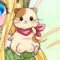 system guide ( coco)