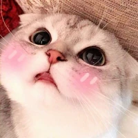 แอด