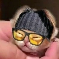 YoonHumpMe (Min Yoongi)