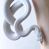 blanca(serpiente)