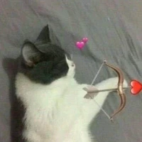 แอดเองฮะ😾💗